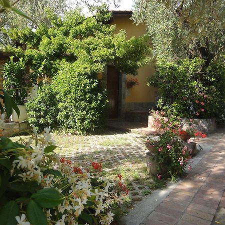 Residence E B&B Villamirella Palinuro Exterior photo